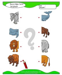 Resmi Diğer Yarısı ile Eşleştir Çalışma Sayfaları